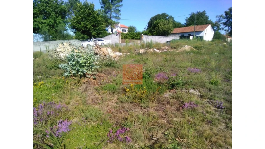 Terreno para Venda em Durrães e Tregosa Foto 10