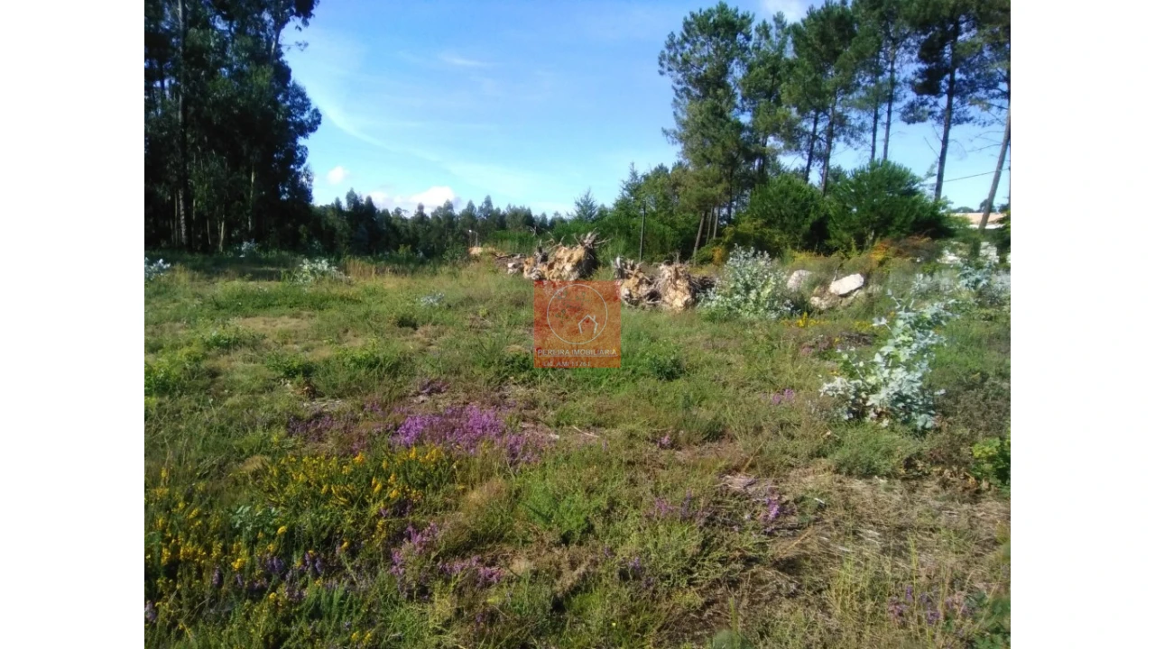 Terreno para Venda em Durrães e Tregosa Foto 8