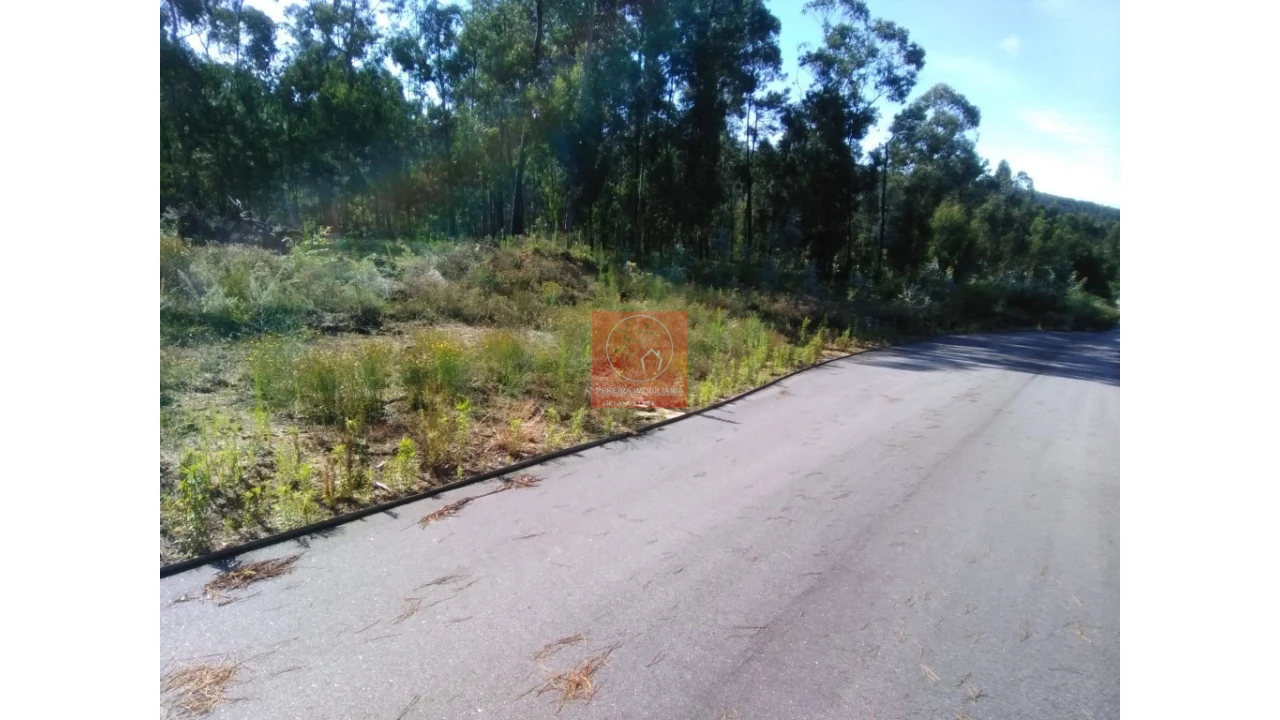 Terreno para Venda em Durrães e Tregosa Foto 5