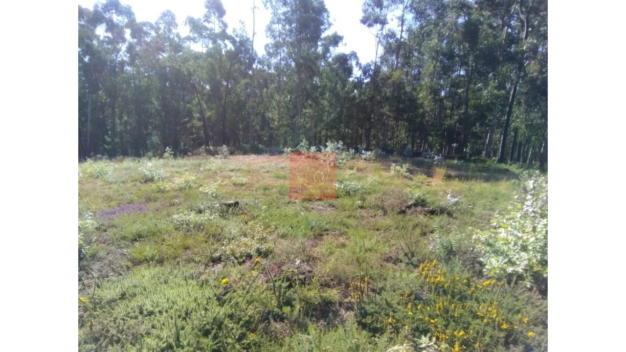 Terreno para Venda em Durrães e Tregosa Foto 6