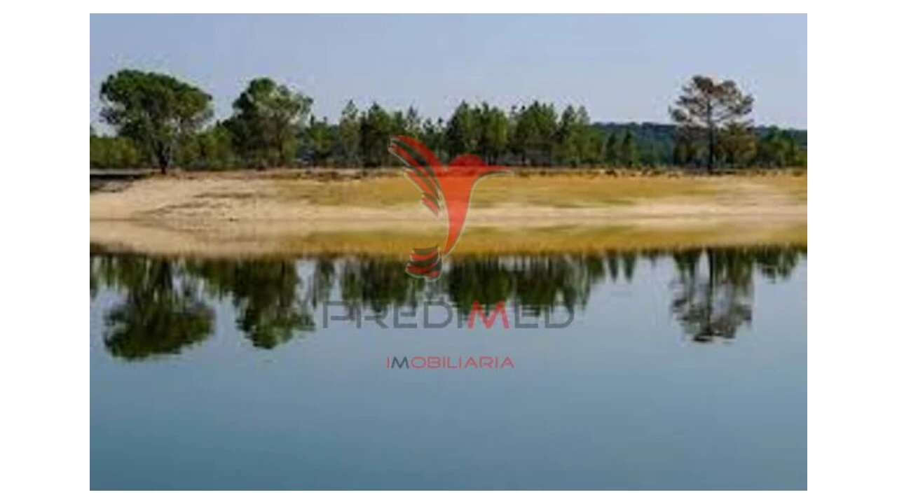 Terreno para Venda em Montargil Foto 14