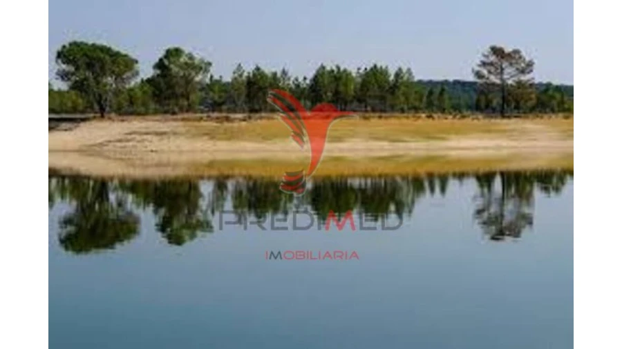 Terreno para Venda em Montargil Foto 14