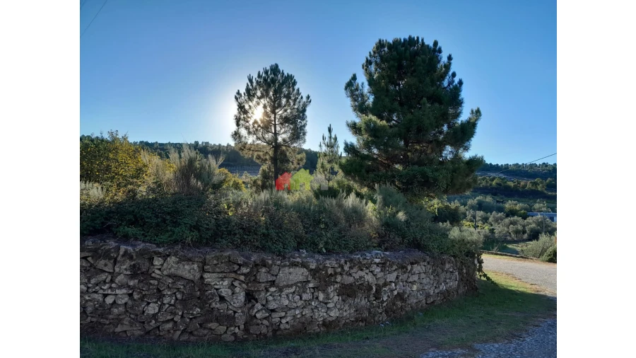Terreno para Venda em Paradinha e Nagosa Foto 7