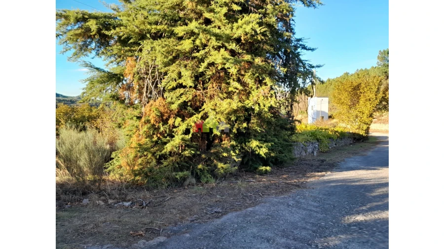 Terreno para Venda em Paradinha e Nagosa Foto 4
