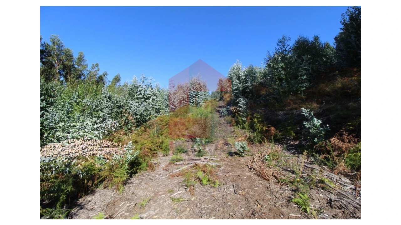 Terreno para Venda em Ribeira do Neiva Foto 13