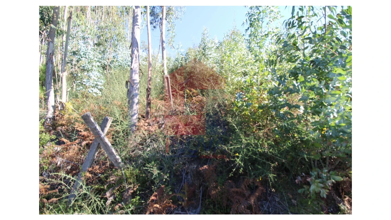 Terreno para Venda em Ribeira do Neiva Foto 19