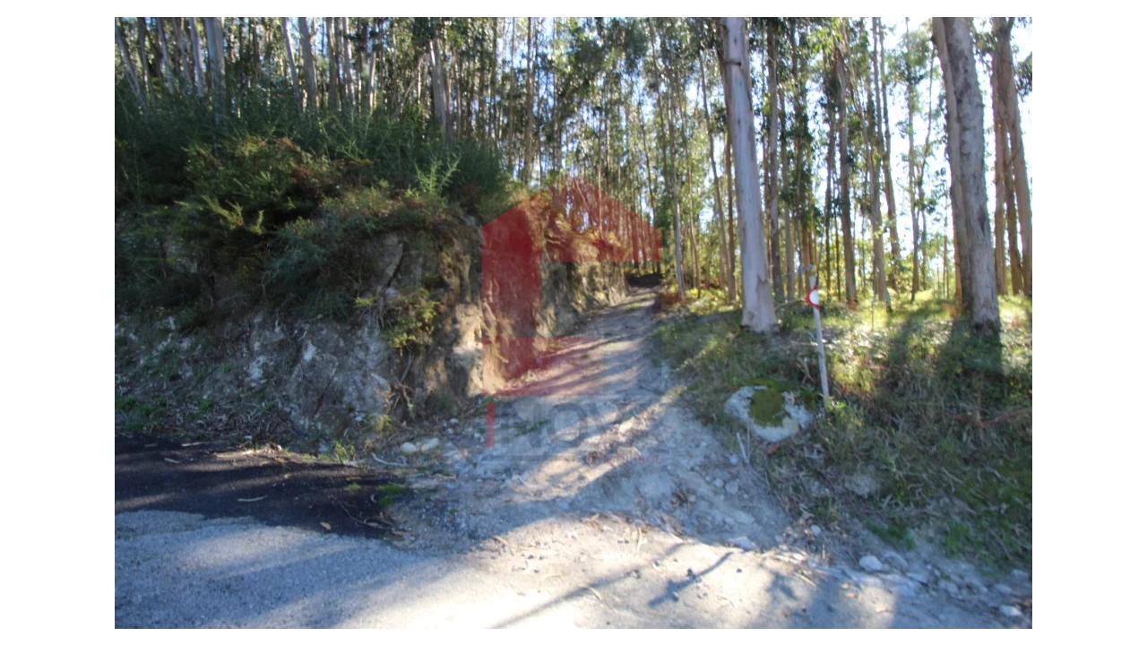 Terreno para Venda em Ribeira do Neiva Foto 23