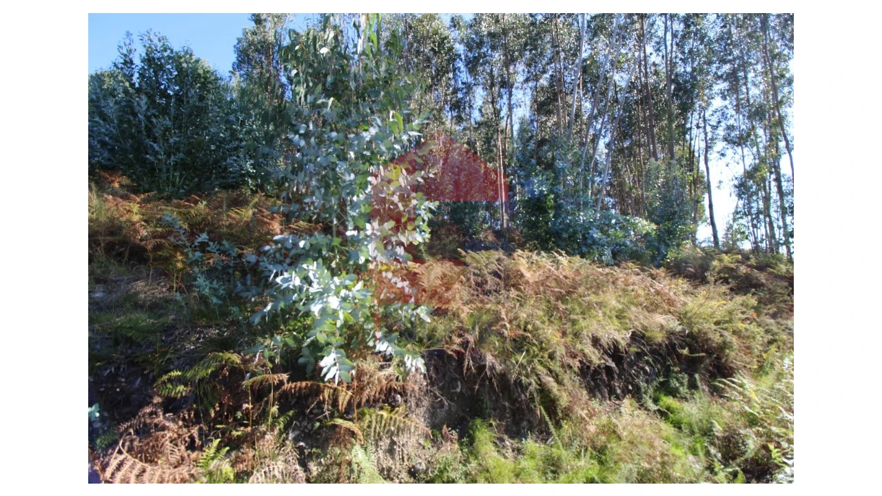 Terreno para Venda em Ribeira do Neiva Foto 12