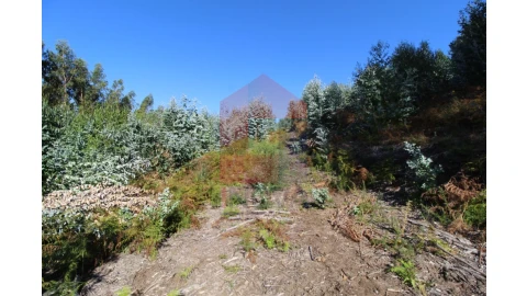 Terreno para Venda em Ribeira do Neiva