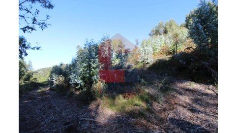 Terreno para Venda em Ribeira do Neiva