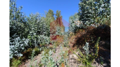 Terreno para Venda em Ribeira do Neiva