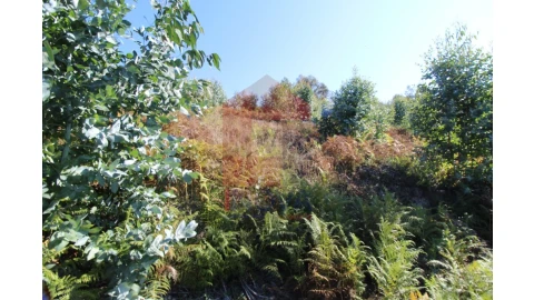 Terreno para Venda em Ribeira do Neiva