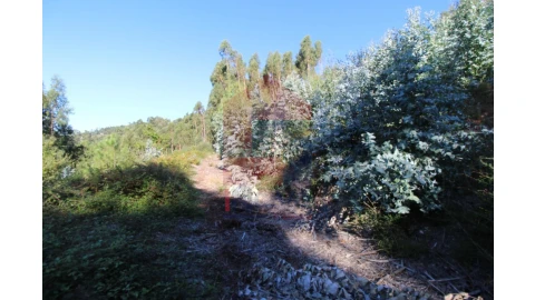 Terreno para Venda em Ribeira do Neiva