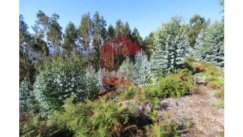 Terreno para Venda em Ribeira do Neiva
