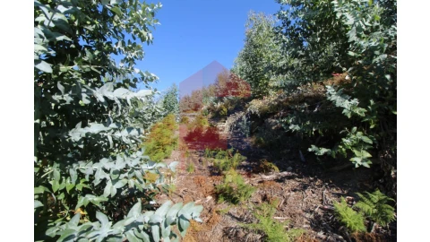 Terreno para Venda em Ribeira do Neiva