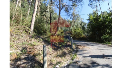 Terreno para Venda em Ribeira do Neiva