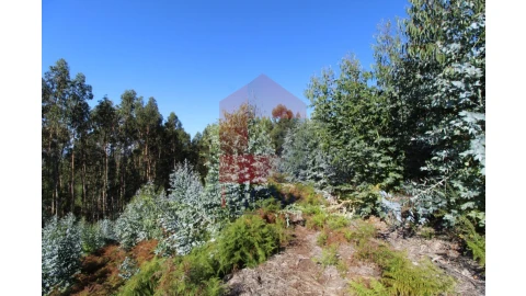 Terreno para Venda em Ribeira do Neiva