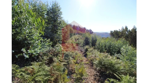 Terreno para Venda em Ribeira do Neiva
