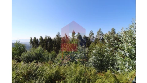 Terreno para Venda em Ribeira do Neiva