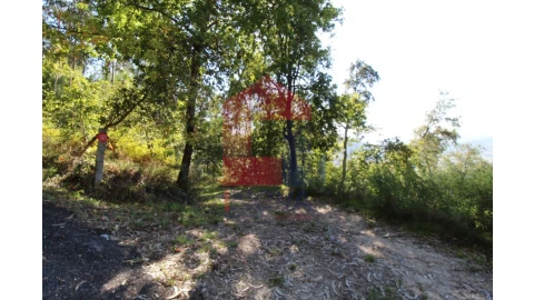 Terreno para Venda em Ribeira do Neiva
