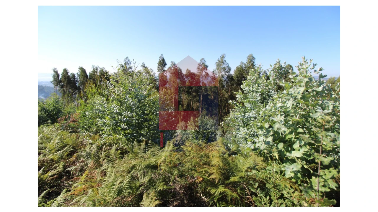 Terreno para Venda em Ribeira do Neiva Foto 6