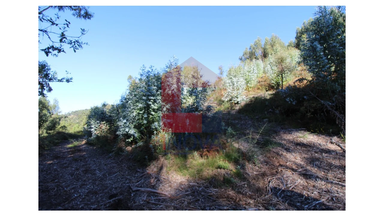 Terreno para Venda em Ribeira do Neiva Foto 15