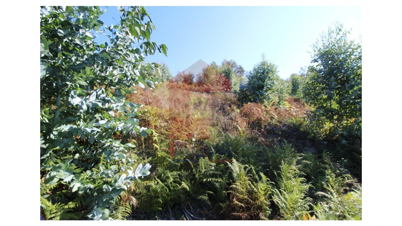 Terreno para Venda em Ribeira do Neiva Foto 7