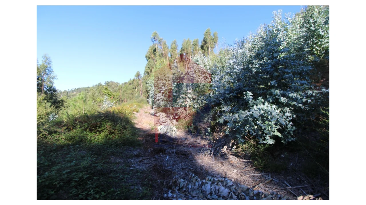 Terreno para Venda em Ribeira do Neiva Foto 16