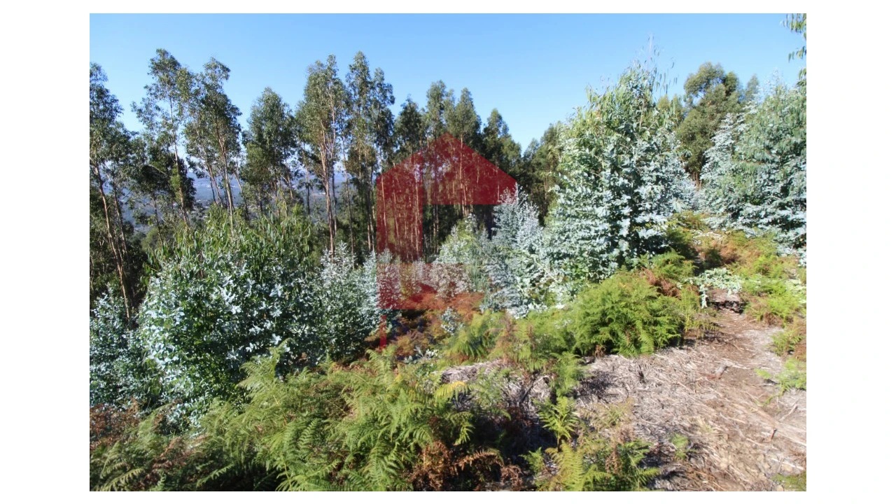 Terreno para Venda em Ribeira do Neiva Foto 1