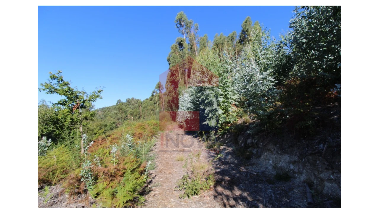Terreno para Venda em Ribeira do Neiva Foto 18