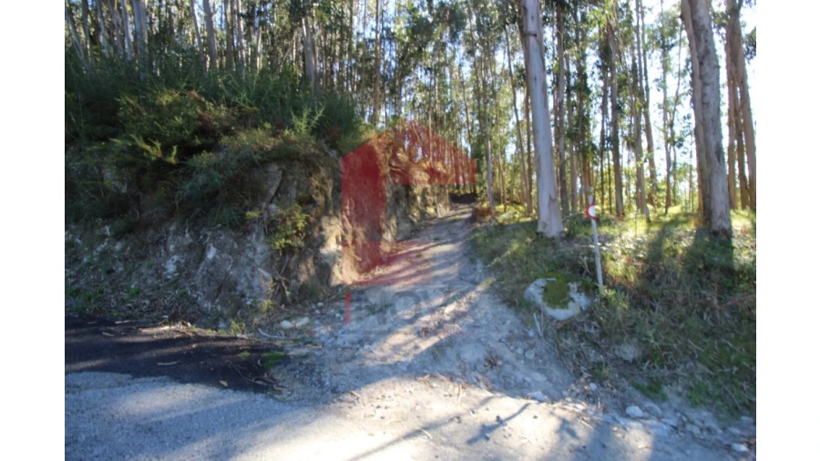 Terreno para Venda em Ribeira do Neiva Foto 23