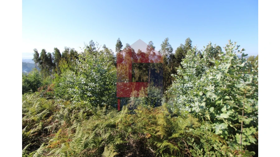 Terreno para Venda em Ribeira do Neiva Foto 6