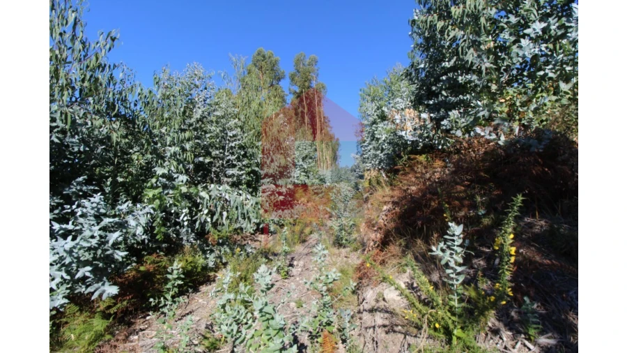 Terreno para Venda em Ribeira do Neiva Foto 14