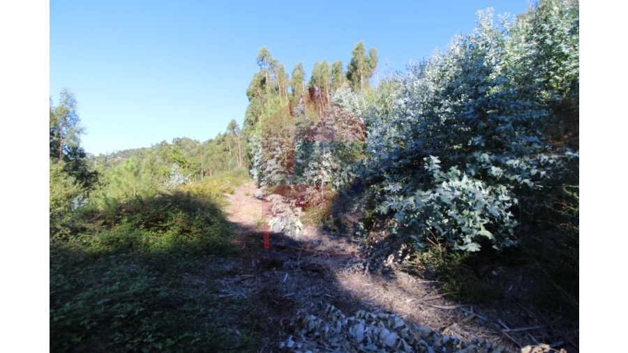 Terreno para Venda em Ribeira do Neiva Foto 16