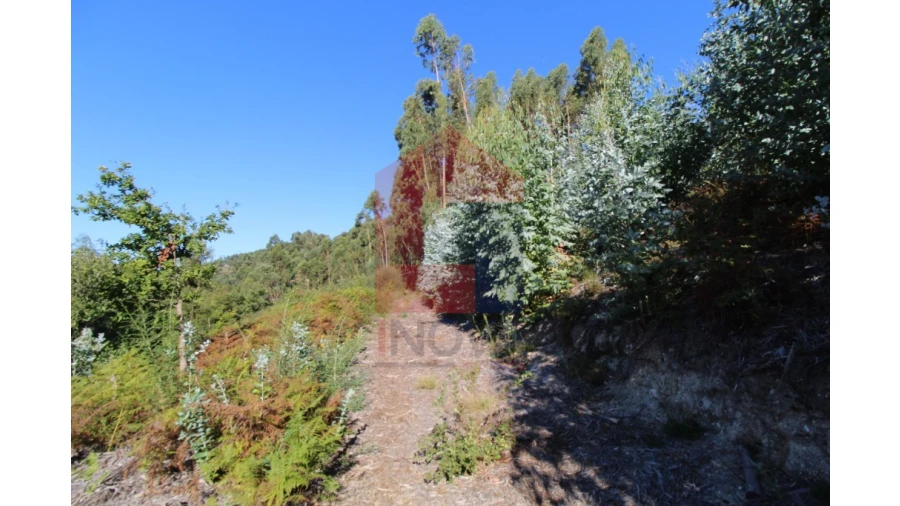 Terreno para Venda em Ribeira do Neiva Foto 18