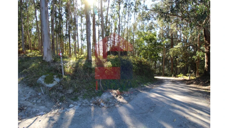 Terreno para Venda em Ribeira do Neiva Foto 24