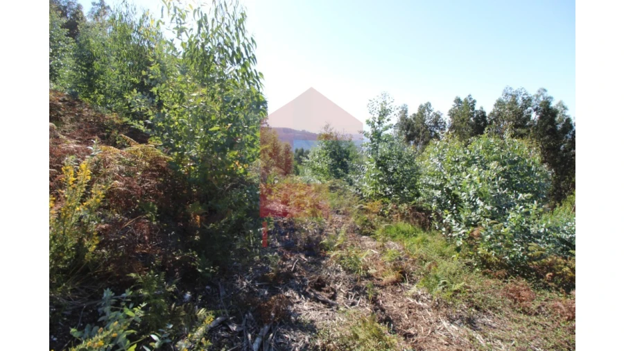 Terreno para Venda em Ribeira do Neiva Foto 9