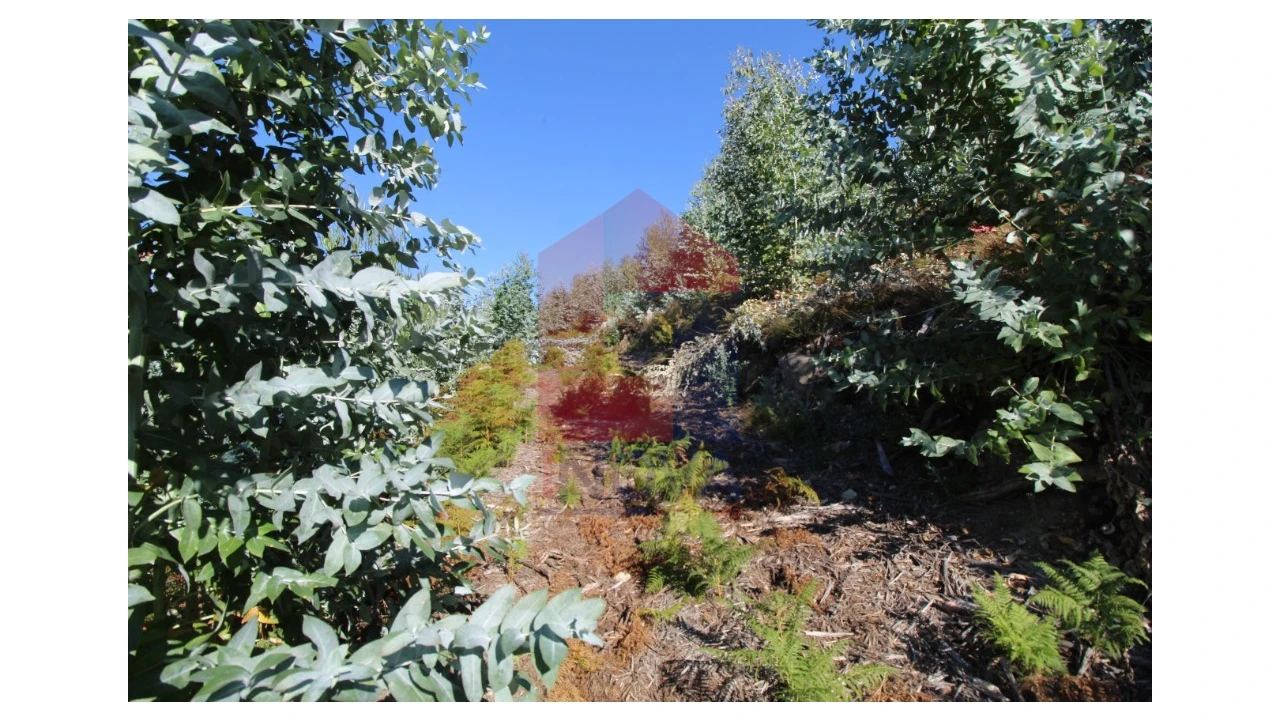 Terreno para Venda em Ribeira do Neiva Foto 10