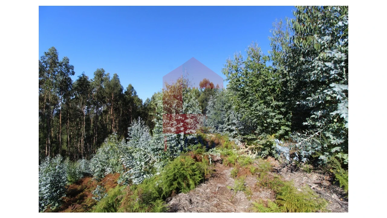 Terreno para Venda em Ribeira do Neiva Foto 2