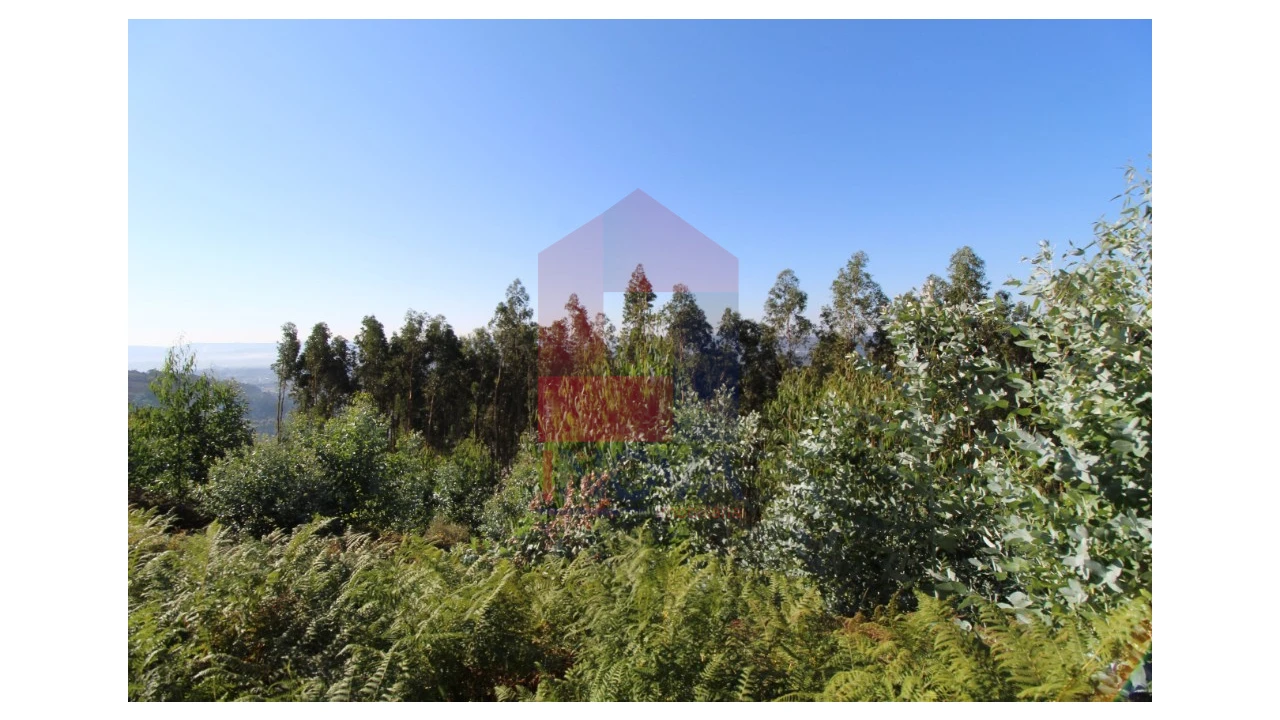 Terreno para Venda em Ribeira do Neiva Foto 8