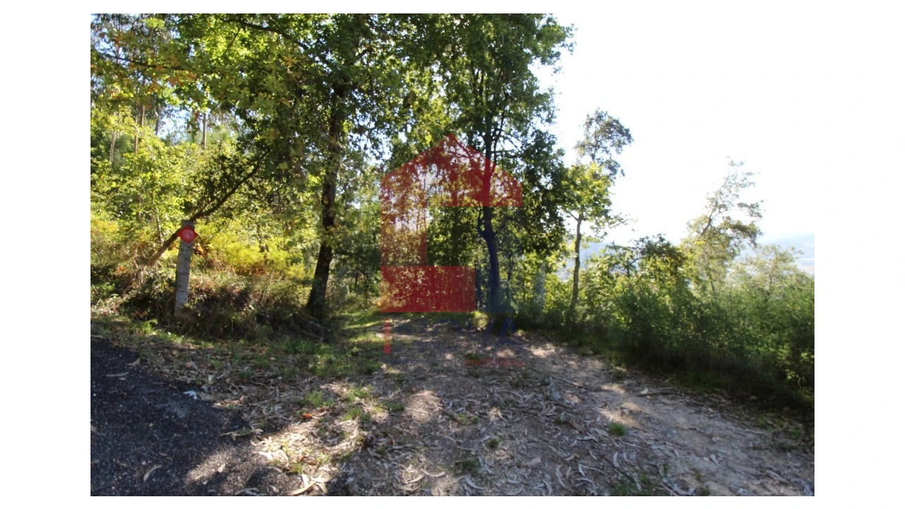 Terreno para Venda em Ribeira do Neiva Foto 20