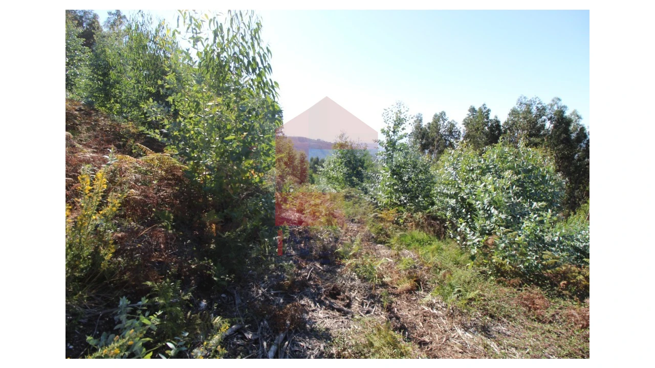 Terreno para Venda em Ribeira do Neiva Foto 9