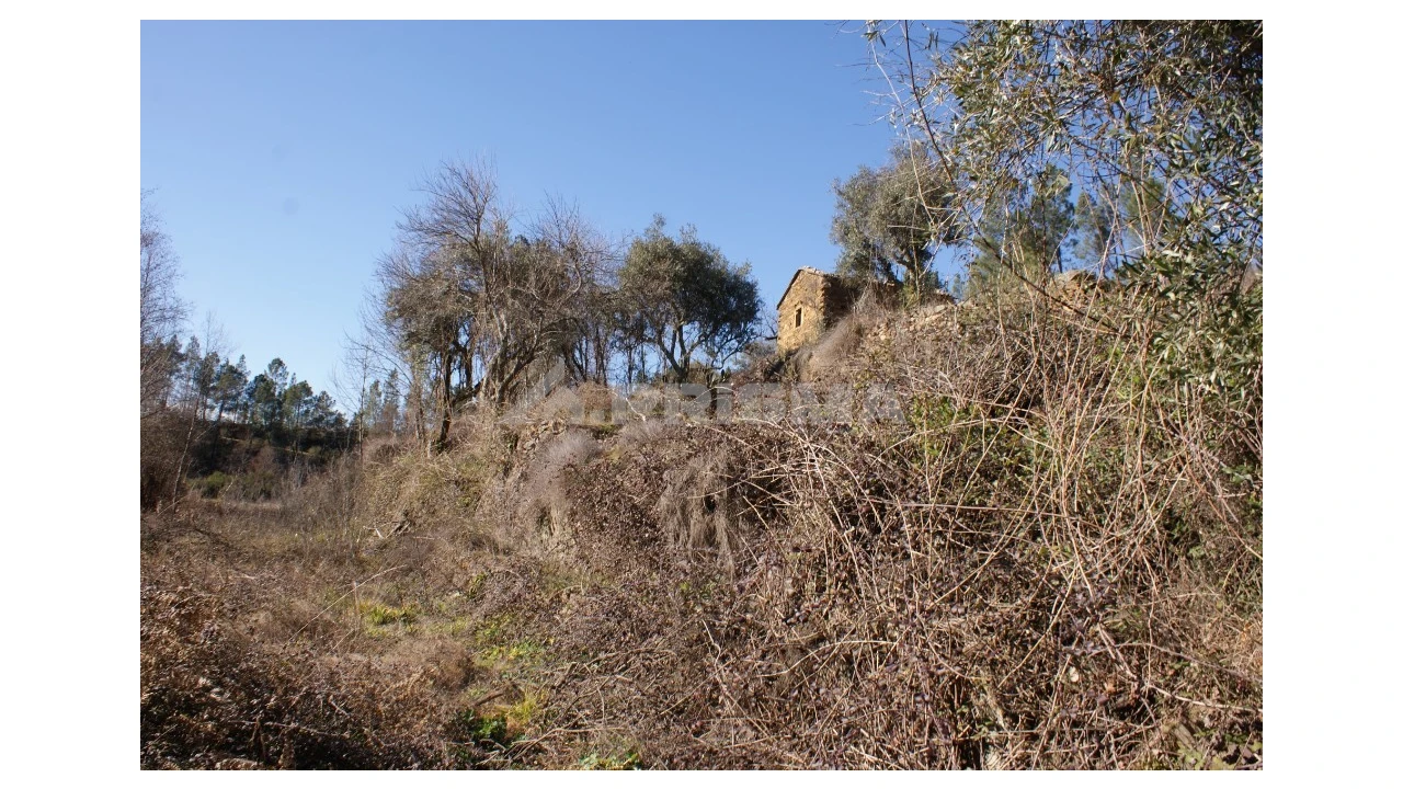 Quinta para Venda em Janeiro de Cima e Bogas de Baixo Foto 20