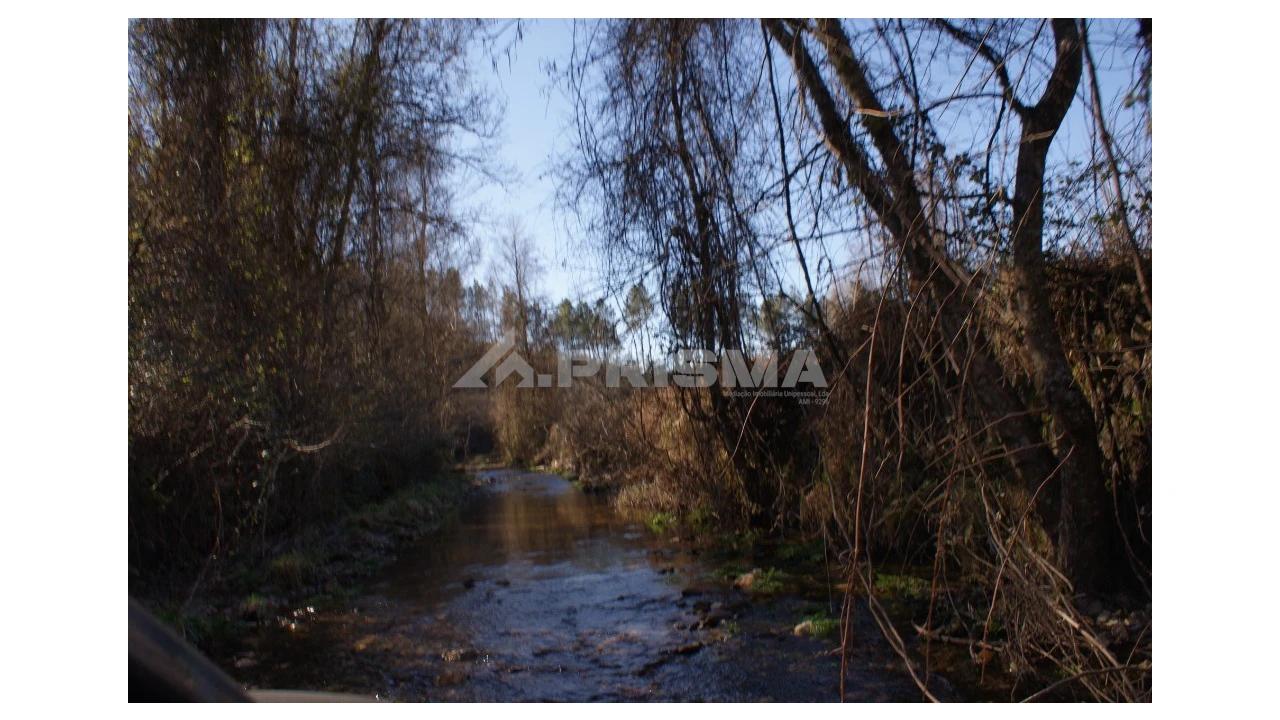 Quinta para Venda em Janeiro de Cima e Bogas de Baixo Foto 3