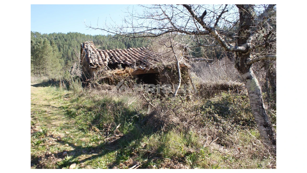 Quinta para Venda em Janeiro de Cima e Bogas de Baixo Foto 4