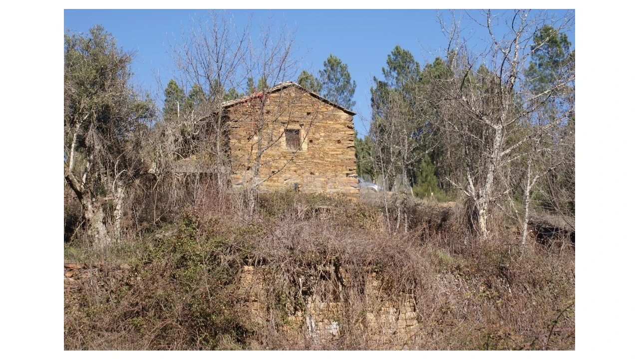 Quinta para Venda em Janeiro de Cima e Bogas de Baixo Foto 14