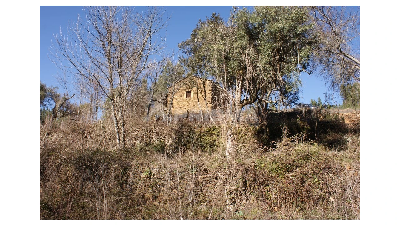 Quinta para Venda em Janeiro de Cima e Bogas de Baixo Foto 18