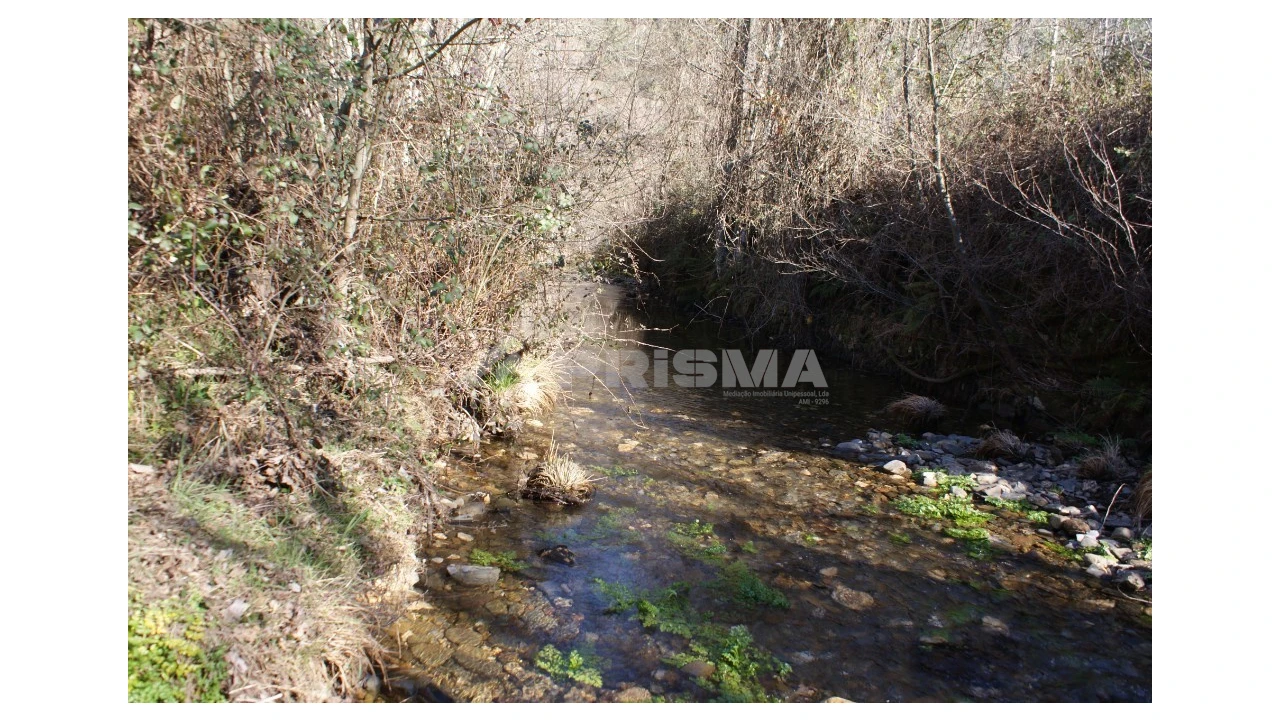 Quinta para Venda em Janeiro de Cima e Bogas de Baixo Foto 2