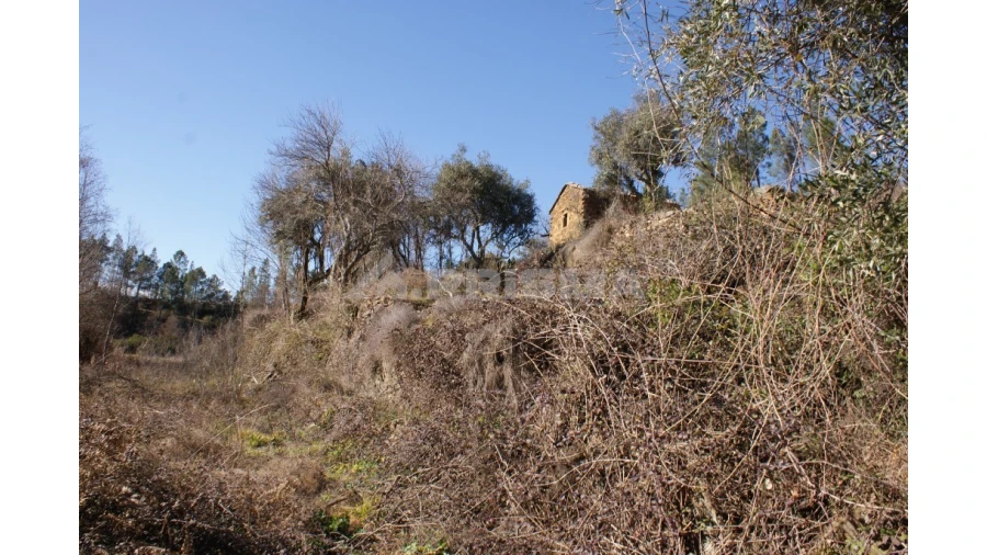 Quinta para Venda em Janeiro de Cima e Bogas de Baixo Foto 20