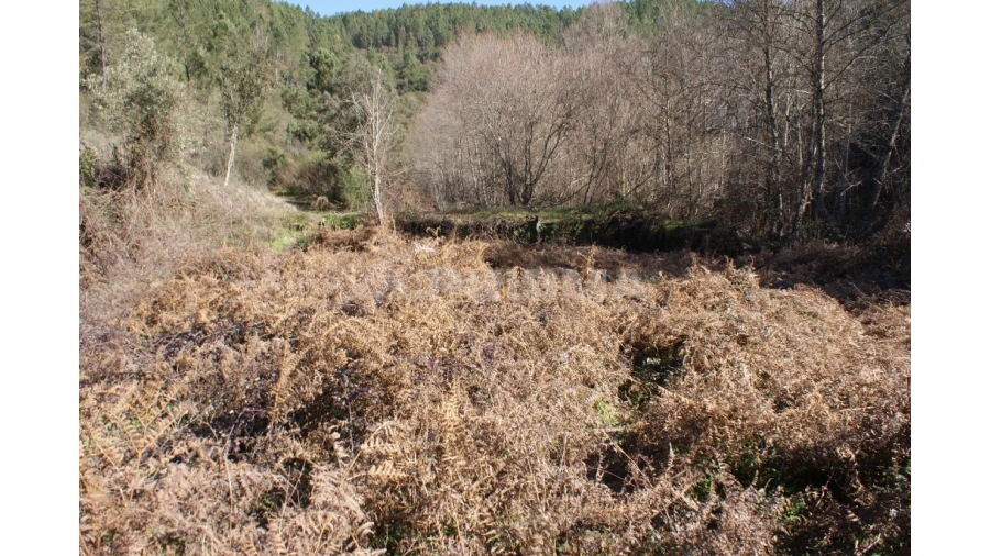 Quinta para Venda em Janeiro de Cima e Bogas de Baixo Foto 10